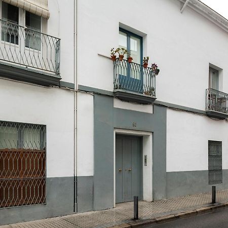 Alohamundi Pasion Daire Sevilla Dış mekan fotoğraf
